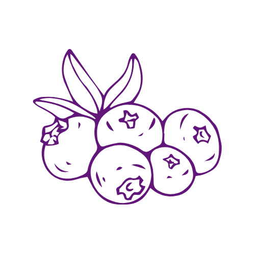 Kolekcije apis logo (2)